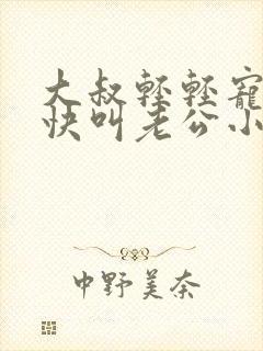 大叔轻轻宠宝贝快叫老公小说