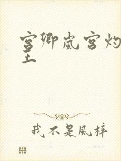 宫卿岚宫灼摄政王