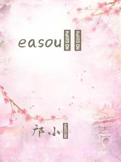 easouС˵