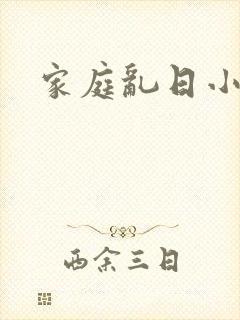 家庭乱日小说