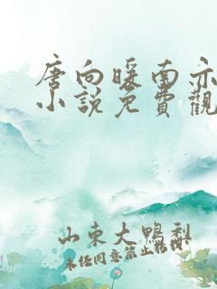 唐向暖南亦琛的小说免费观看