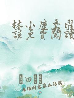 林小鹿季曜珉小说免费阅读