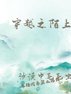 穿越之陌上花开