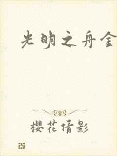 光明之舟金手指