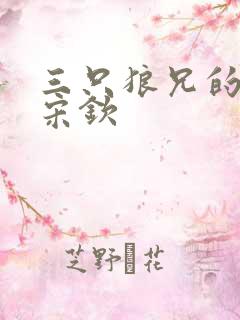 三只狼兄的宠妻宋钦