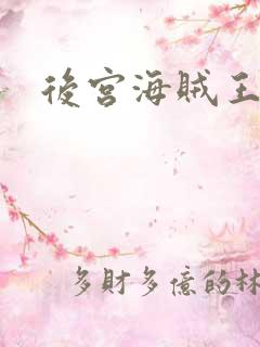 后宫海贼王