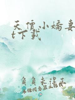 天价小娇妻txt下载