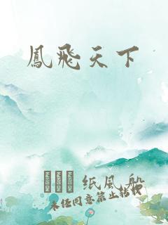 凤飞天下