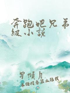 奔跑吧兄弟限制级小说