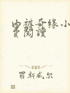 内裤奇缘小说免费阅读