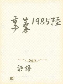 重生1985陆少华