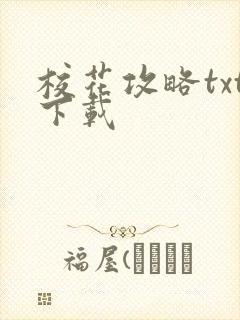 校花攻略txt下载