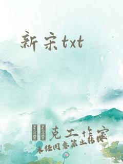 新宋txt