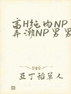 高H纯肉NP 弄潮NP男男