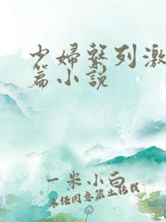 少妇系列激情短篇小说