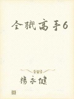 全职高手6