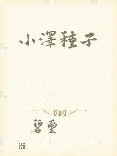 小泽种子