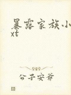 暴露家族小说txt