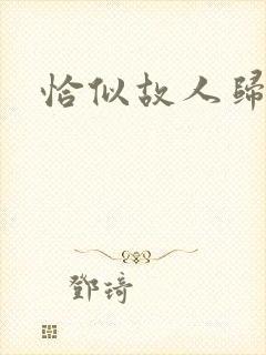 恰似故人归小说