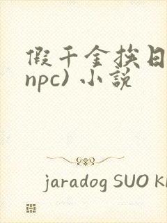 假千金挨日记(npc) 小说