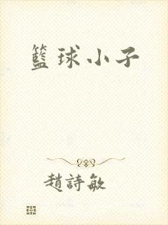 篮球小子