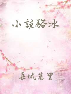小说骆冰