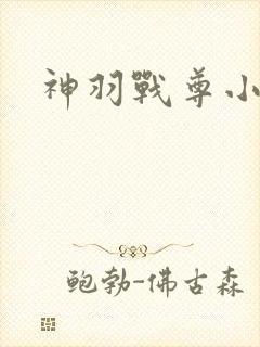神羽战尊小说