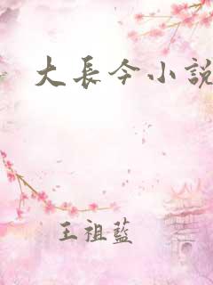 大长今小说下载