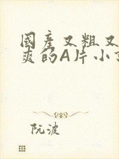 国产又粗又黄又爽的A片小说