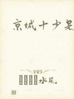 京城十少是谁
