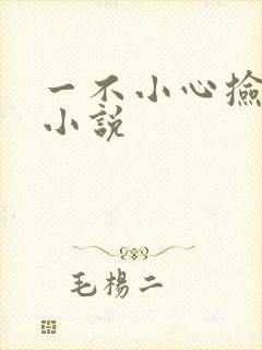 一不小心捡到爱小说