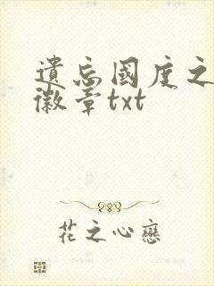 遗忘国度之神秘徽章txt