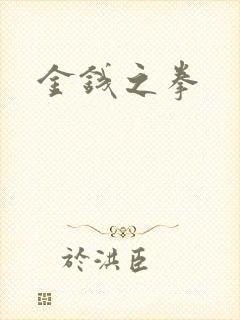 金钱之拳