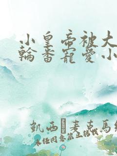 小皇帝被大臣们轮番宠爱小说