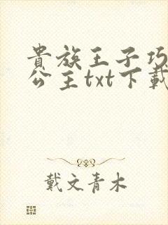 贵族王子巧遇穷公主txt下载