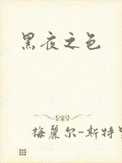 黑夜之色