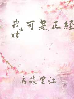 我可是正经人txt