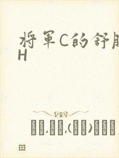 将军C的舒服么H