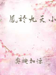 凤于九天小说