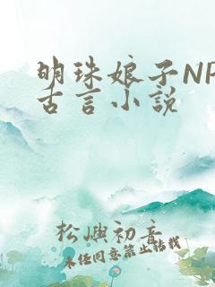 明珠娘子NPC古言小说