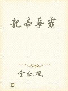 龙帝争霸