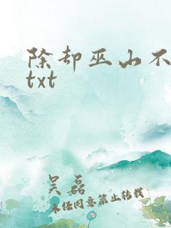 除却巫山不是云txt
