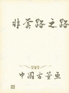 非套路之路