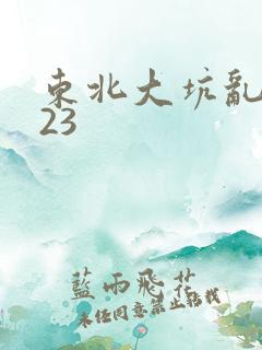 东北大坑乱1—23