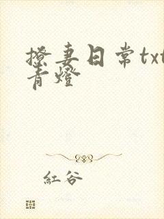 撩妻日常txt青灯