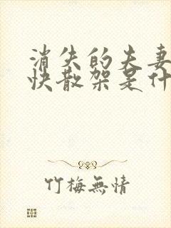 消失的夫妻女主快散架是什么意思