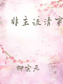 非主流清穿