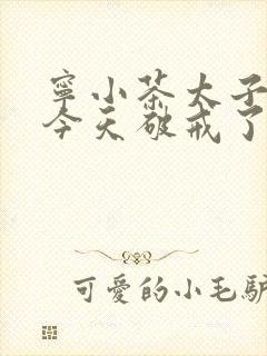 宁小茶太子殿下今天破戒了吗免费阅读