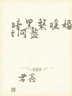 暗黑系暖婚txt网盘