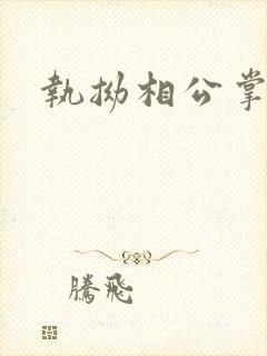 执拗相公掌上宠